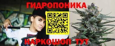 трава Кингисепп